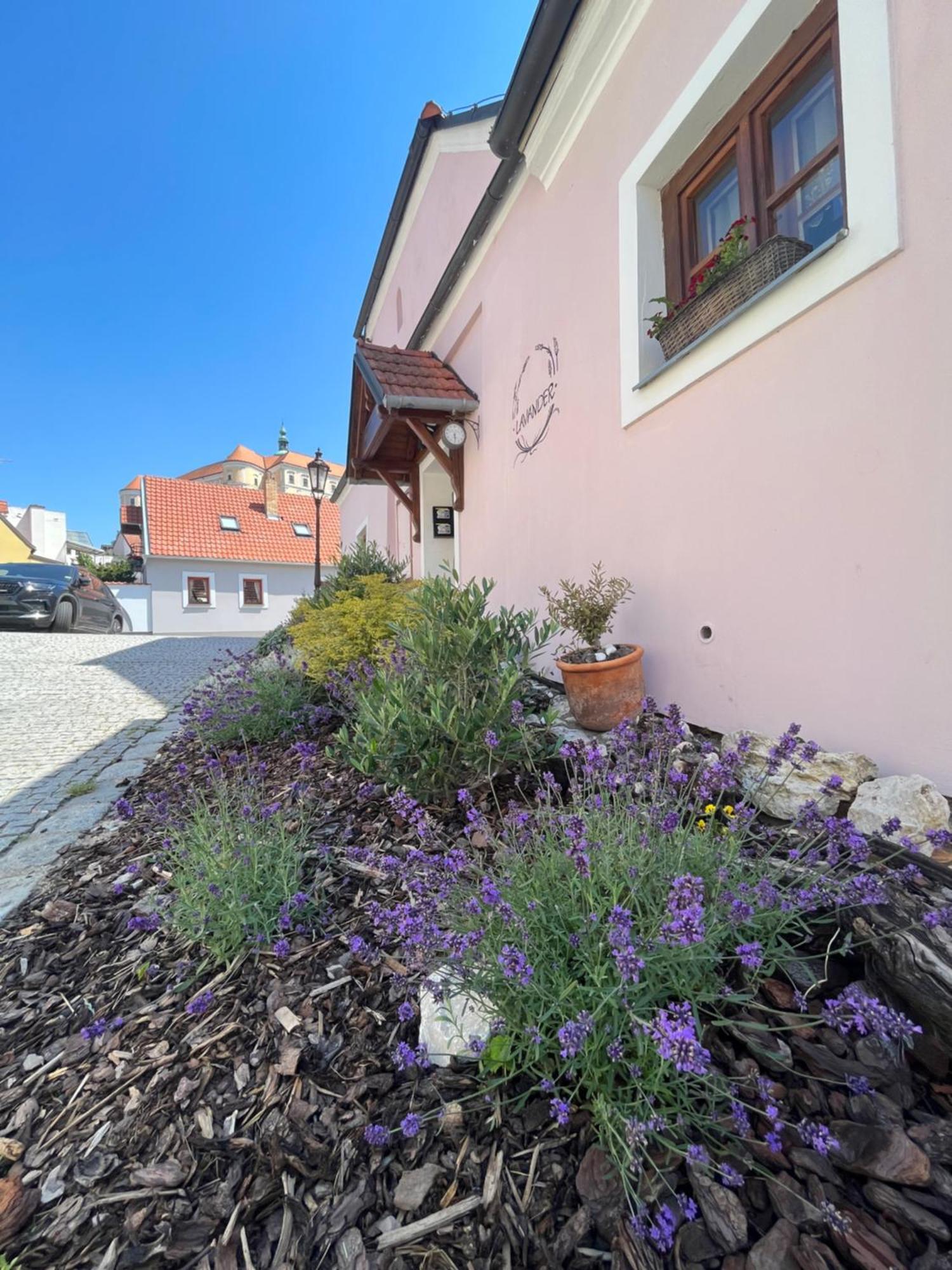 Apartmany Lavander Mikulov Bagian luar foto